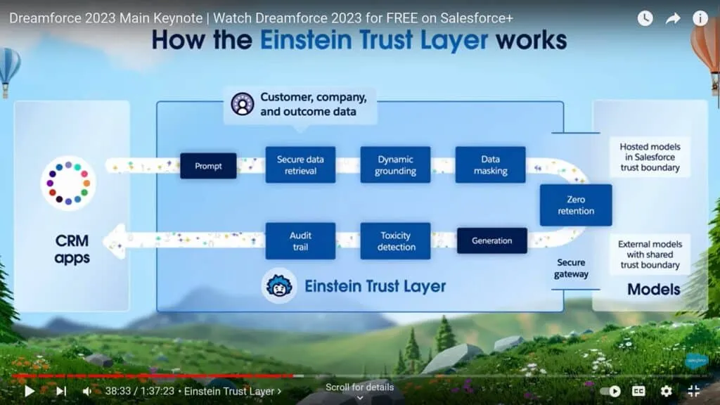 How Einstein Trust Layer Works